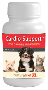 Cardio-Support - 100 Capsules